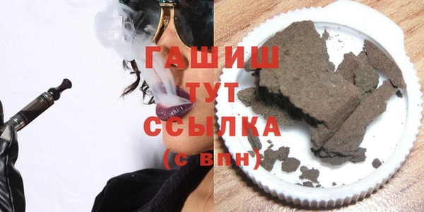 индика Покачи