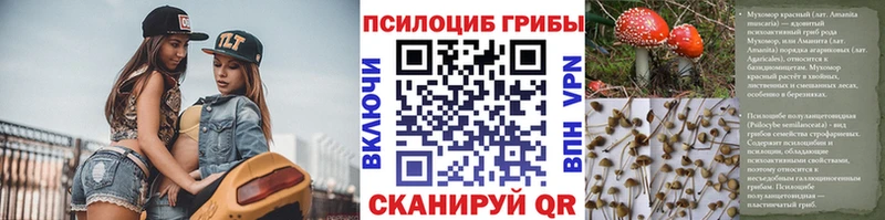 Галлюциногенные грибы мицелий  Купить закладки  Донской 