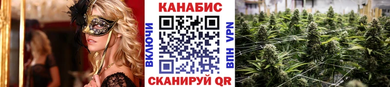 Купить где  Донской  Шишки марихуана White Widow 